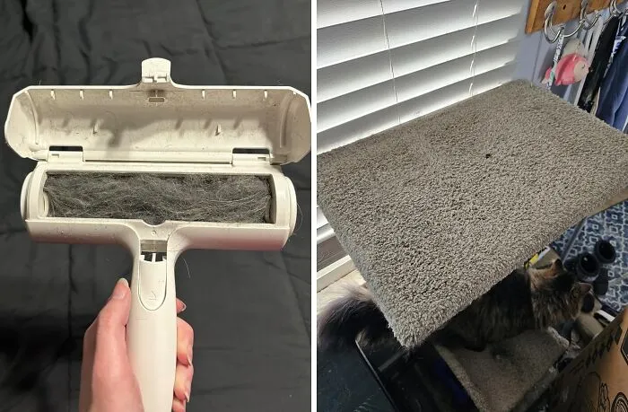 Fur-Get About Frustrating Lint Rollers And Sticky Tape Thanks To The <a Style="Display:inline;" Href="Https://Www.amazon.com/Pet-Dog-Cat-Hair-Remover-Couch/Dp/B00bagtnaq?ie=utf8&linkcode=ll1&tag=bporca-20&linkid=ea7d1cb7832e3e08bbfaacdc816d9a2d&language=en_us&ref_=as_li_ss_tl" Target="_blank"><span Style="Font: Inherit; Color: #d74b1f;"> Chom Chom Roller</Span>