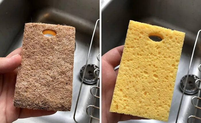 Replace Your Old Plastic Sponges With A Sustainable And Eco-Conscious Alternative: <a Style="Display:inline;" Href="Https://Www.amazon.com/Biogo-Biodegradable-Sponges-Kitchen-Compostable/Dp/B0cddfrtkm?content-ID=amzn1.sym.5cde1a09-4942-4242-87c5-E66d2d3b6a3c%3aamzn1.sym.5cde1a09-4942-4242-87c5-E66d2d3b6a3c&crid=1cuma7z8anwg0&cv_ct_cx=eco%2bfriendly%2bhome%2bproducts&dib=eyj2ijoimsj9.eip4_lmb1eajs811mouolg.1i6t2g-Ecofuwzfcbw_ihdibcpi_0wp8dmepkzqu7u4&dib_tag=se&keywords=eco%2bfriendly%2bhome%2bproducts&pd_rd_i=b0cddfrtkm&pd_rd_r=a228538a-6f3f-4a76-Ba08-D45c84a9ced7&pd_rd_w=wpxbt&pd_rd_wg=nyiyu&pf_rd_p=5cde1a09-4942-4242-87c5-E66d2d3b6a3c&pf_rd_r=4kfkkv7zfa160xjn6wv3&qid=1719996869&sbo=rzvfv%2f%2fhxdf%2bo5021pansa%3d%3d&sprefix=eco%2bfriendly%2bhome%2b%2caps%2c487&sr=1-1-5190daf0-67e3-427c-Bea6-C72c1df98776&th=1&linkcode=ll1&tag=bporca-20&linkid=27ff0f38ff83738303d5ab341f90bbb8&language=en_us&ref_=as_li_ss_tl" Target="_blank"><span Style="Font: Inherit; Color: #d74b1f;"> Biodegradable Kitchen Sponges</Span> Made From Natural Cellulose