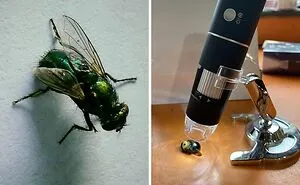 22 Tech Finds That Are Way More Useful Than What You Have Right Now