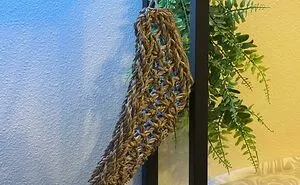 ‘When You See It’: 30 Perfectly Camouflaged Things That Take Ages To Find (New Pics)
