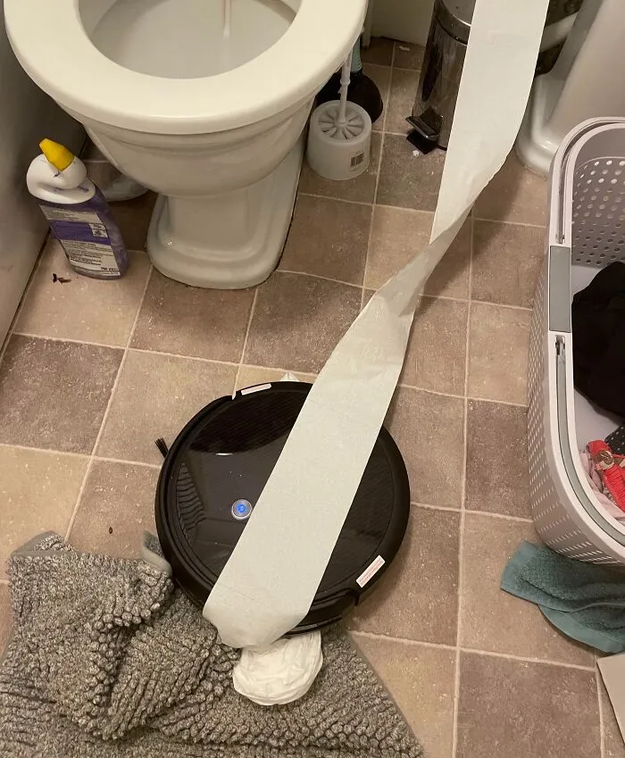 Acaba de aspirar medio rollo de papel higiénico