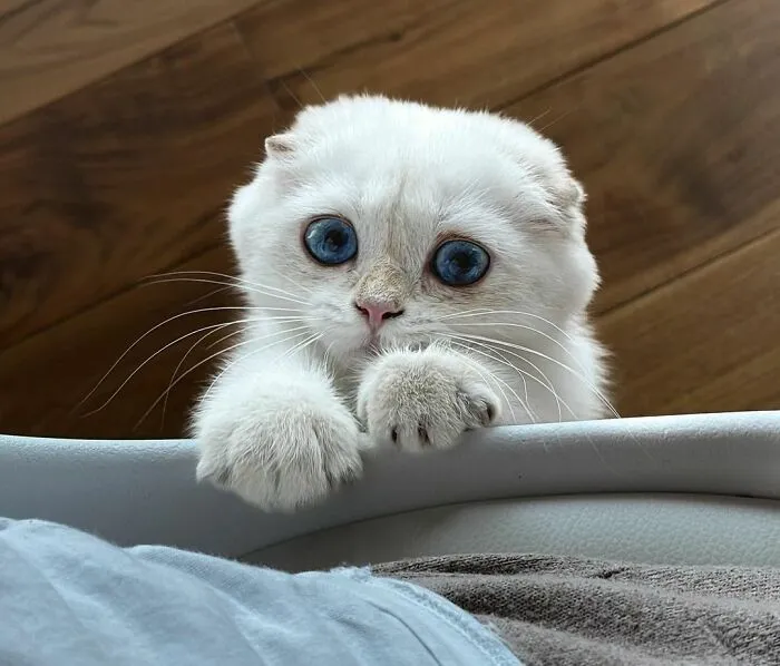 Hello World