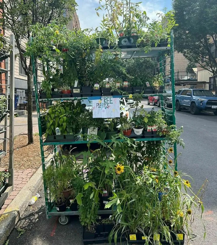 One Man’s Trash, Another’s Jackpot: 35 Wild Stooping Discoveries In New York (New Pics)