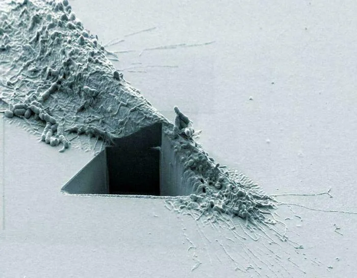 Microscopic view of a triangular shape on a surface, showcasing a texture that is oddly terrifying.
