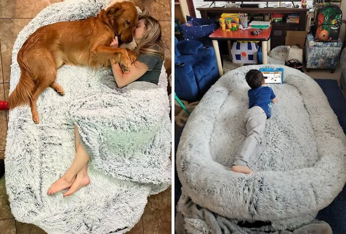  <a Style="Display:inline;" Href="Https://Www.amazon.com/Wros-Washable-Napping-Orthopedic-Present/Dp/B0bmk4vqj5?crid=20uahe6qc2ktx&dib=eyj2ijoimsj9.w3kj2qafccczys51wenkt2vv7q5wlxsqdysixyrwptkup7c4miklmrnq1o2u-Lp9zk5vqnz5gyqgcyzkavr6lrjlgwlhokbakogpp7mnl0h94vc5auo8uopnfkrnhsg4-45hbe_l4u_4rq5em1d3b9bruvwusvgd5sfw6y_vowf6lswlusa_zwgjv1a-3rlpkocwkl-Q_9cljmhohxuxksrwjq027i_npv3dmtw7zh2ctuvrdzwp6criemy3k549c-Nu7cm1yazqpu-Zamxillbhwuasgesatuqplddsmna.d0wvyaxjdhutitbe20xvguv2lu68ajotstpjgxtwn74&dib_tag=se&keywords=giant%2bdog%2bbed%2bfor%2bhumans&qid=1719895725&sprefix=giant%2bdog%2bbed%2b%2caps%2c391&sr=8-1-Spons&sp_csd=d2lkz2v0tmftzt1zcf9hdgy&th=1&linkcode=ll1&tag=bptiger-20&linkid=98ec38b9928c4c3899f5ba8fd3858cb6&language=en_us&ref_=as_li_ss_tl" Target="_blank"><span Style="Font: Inherit; Color: #d74b1f;"> Human Dog Bed</Span> – Who Needs A King-Size When You Can Have A Dog-Pile Size?