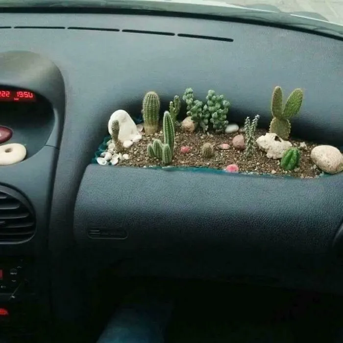Accesorios para el airbag