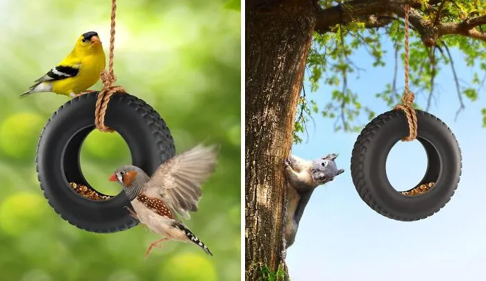  <a Style="Display:inline;" Href="Https://Www.amazon.com/Fred-Swing-Time-Swing-Feeder/Dp/B00it39sd0?crid=hw9w651lnd8e&dib=eyj2ijoimsj9.8cmcmbmdh2czrikh_cjjtptrwjvqneyswyy7kw7gmeast3l8kvfcmalouonqa-C2zwt9rs8wfxbytmaoqwygwxlw5jdkqhpjxy2oi5l2rqrmytd26vqlubef9objxtrywdmw8ysbx821ilrwxpogqaaltq9uiwsdcyekclajpylu5ggtuuggdxl-Sz138fkminatvgyzr0qxf_rpc7or0cqiactr0jynz-Xtnfdfh412ns-Evaxqznq1d-Pz9jijorw5fsyff3lh4e27--R3hxgdrzy42auzf8ewr6seczu.iddnmmimk-Zd1skmjnq0uvikxhdhptym9vah0impmnk&dib_tag=se&keywords=swing+time+bird+feeder&qid=1719836477&sprefix=swing+time+bird+feeder%2caps%2c194&sr=8-2&linkcode=ll1&tag=bplion-20&linkid=01945c1cda3274220f6bd1349435ad2a&language=en_us&ref_=as_li_ss_tl" Target="_blank"><span Style="Font: Inherit; Color: #d74b1f;"> Swing Tire Bird Feeder</Span>: The Chicest Drive-Thru For Your Feathered Friends!