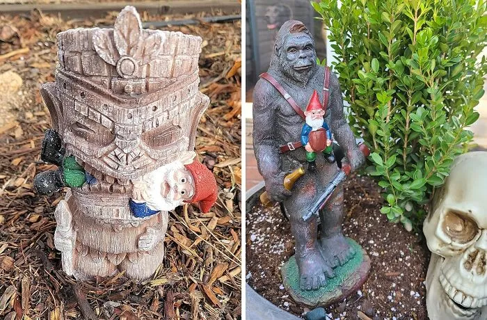 Get Your Gnome On With These Hilarious  <a Style="Display:inline;" Href="Https://Www.amazon.com/Funny-Guy-Mugs-Garden-Statue/Dp/B08cvq7k9w?ie=utf8&linkcode=ll1&tag=bplion-20&linkid=cca647bad941d95f33aa2eb1f68dd7b5&language=en_us&ref_=as_li_ss_tl" Target="_blank"><span Style="Font: Inherit; Color: #d74b1f;"> Silly Garden Gnomes</Span>