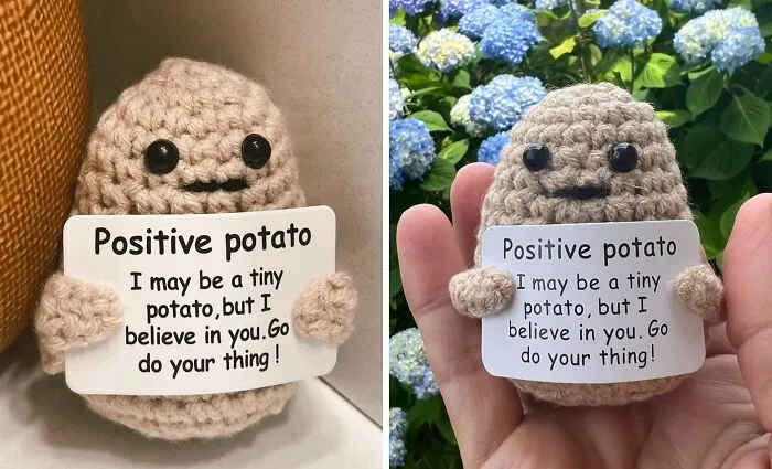 Let The  <a Style="Display:inline;" Href="Https://Www.amazon.com/Positive-Inspirational-Halloween-Decoration-Encouragement/Dp/B0c2bj26p7?ie=utf8&th=1&linkcode=ll1&tag=bplion-20&linkid=951b36d9a336b769c28b0c80ea569260&language=en_us&ref_=as_li_ss_tl" Target="_blank"><span Style="Font: Inherit; Color: #d74b1f;"> Positive Potato</Span> Plant Seeds Of Joy In Your Life