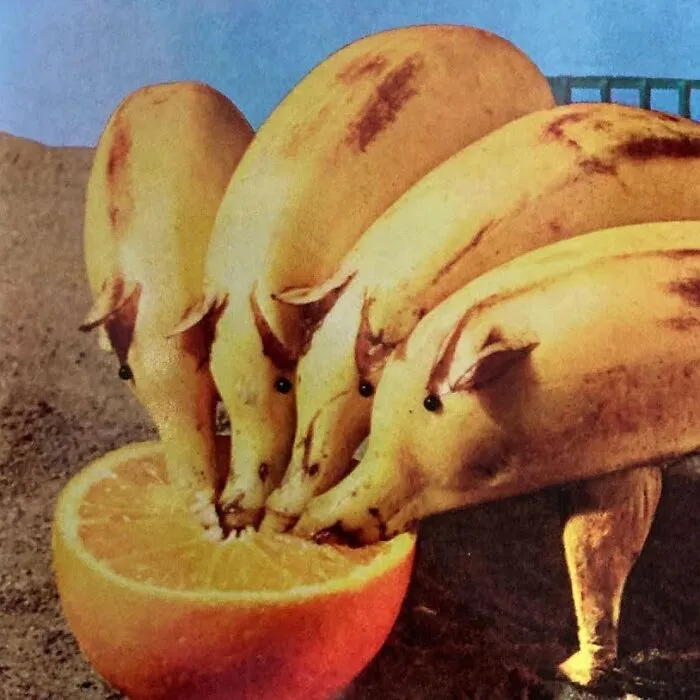 30 Hilariously Bizarre Vintage Food Pics That Prove People’s Creativity Had No Limits Back Then