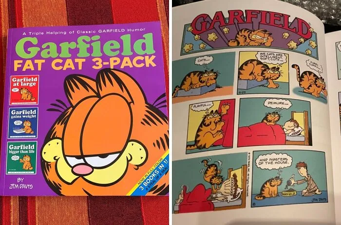 Everyone Who Hates Mondays Will Enjoy The  <a Style="Display:inline;" Href="Https://Www.amazon.com/Garfield-Fat-Cat-Jim-Davis/Dp/0345464559?ie=utf8&linkcode=ll1&tag=bpshark-20&linkid=3c40a9b4caca7d245bf8a5180eb276bf&language=en_us&ref_=as_li_ss_tl" Target="_blank"><span Style="Font:inherit;color:#d74b1f;"> Garfield Fat Cat 3-Pack </Span>