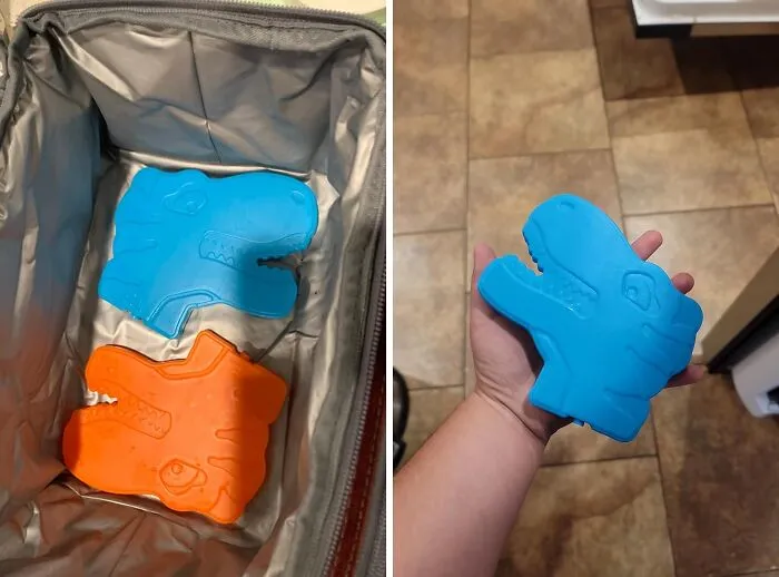 <a Style="Display:inline;" Href="Https://Www.amazon.com/Bentgo-Buddies-Reusable-Ice-Packs/Dp/B08fnw7qdb?content-ID=amzn1.sym.8a35d530-03ce-4e70-804d-14f560287562&pd_rd_r=f74c26e8-9a46-4b32-9d10-0290a92c0a3b&pd_rd_w=6yutv&pd_rd_wg=7kj7p&pf_rd_p=8a35d530-03ce-4e70-804d-14f560287562&pf_rd_r=db6msmex5yt6h7dp9qnt&sr=1-1-7bac70c9-5a0c-426f-8dd6-Be1b86e68576&th=1&linkcode=ll1&tag=bplynx-20&linkid=ecb24a53f1cc96d9a561aad0e7a3933d&language=en_us&ref_=as_li_ss_tl" Target="_blank"><span Style="Font: Inherit; Color: #d74b1f;"> Dinosaur Ice Packs</Span>: The Must-Have Lunch Accessory For Your Little Paleontologist