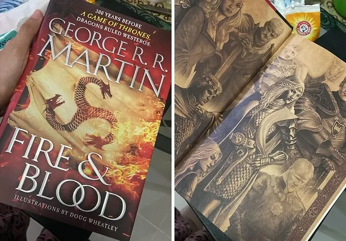 <a style="display:inline;" href="https://www.amazon.com/Fire-Blood-Thrones-Targaryen-History/dp/1524796301?ie=UTF8&linkCode=ll1&tag=bpshark-20&linkId=2712a43c58cd9f0594ac13c66fd5aa62&language=en_US&ref_=as_li_ss_tl" target="_blank"><span style="font: inherit; color: #d74b1f;">"Fire & Blood" By George R.R. Martin</span> — Move Over, Daenerys, There Are Some New Targaryens In Town