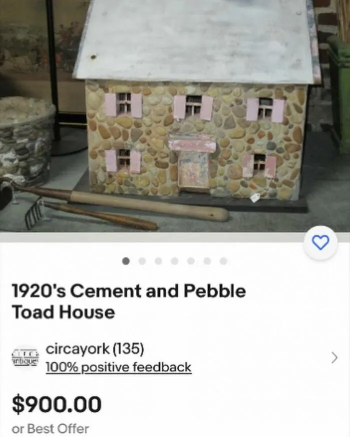 30 Absolutely Wild eBay Listings That Intrigue And Confuse Simultaneously (New Pics)