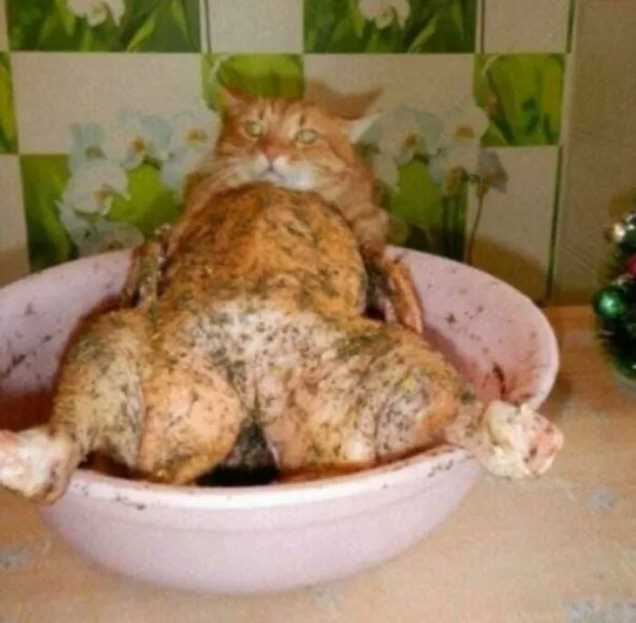Whats For Dinner?