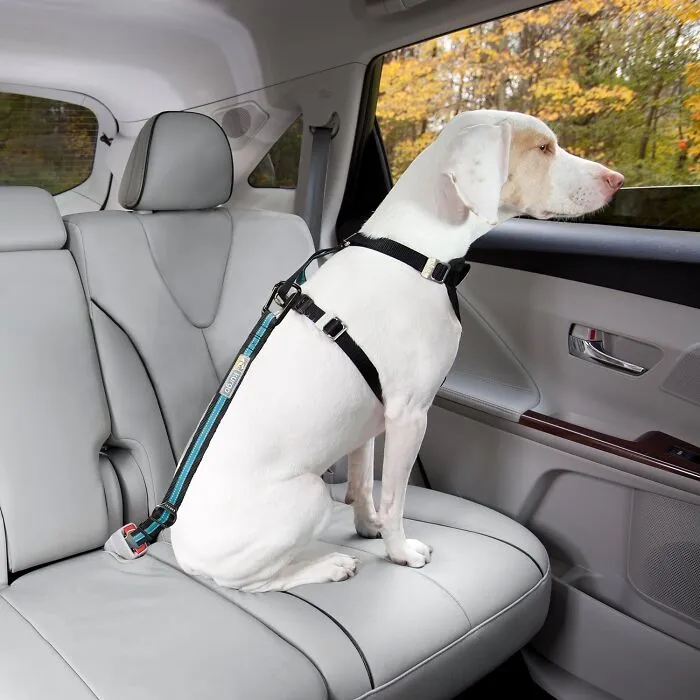 <a Style="Display:inline;" Href="Https://Www.amazon.com/Kurgo-Direct-Seatbelt-Tether-Seat/Dp/B07d8xrnwr?ie=utf8&th=1&linkcode=ll1&tag=bpdodo-20&linkid=8e1b225b976335605475ad2bde585da5&language=en_us&ref_=as_li_ss_tl" Target="_blank"><span Style="Font: Inherit; Color: #d74b1f;"> Kurgo Direct To Seatbelt Tether</Span>:  Keep Your Furry Co-Pilot Safe And Secure On Every Adventure!