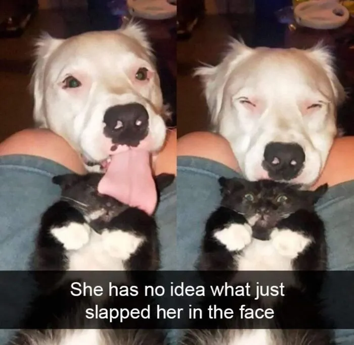50 Feel-Good Photos To Cheer You Up