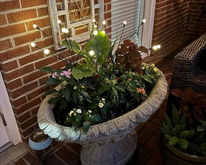 Harness The Power Of The Sun To Create A Magical Ambiance With <a Style="Display:inline;" Href="Https://Www.amazon.com/Asmad-Outdoor-Decorations-Swaying-Firefly/Dp/B0c9wgk168?ie=utf8&th=1&linkcode=ll1&tag=bpseahorse-20&linkid=62a9d7ba969508a12e91e84b501b0ab7&language=en_us&ref_=as_li_ss_tl" Target="_blank"><span Style="Font: Inherit; Color: #d74b1f;"> Solar Garden Lights</Span>