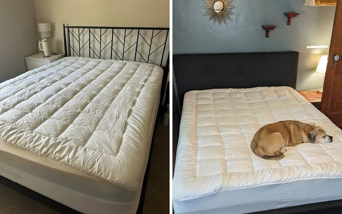 <a Style="Display:inline;" Href="Https://Www.amazon.com/Easeland-Mattress-Mattress-Stretches-Alternative/Dp/B073zy6xh3?dib=eyj2ijoimsj9.hv4rinisrtily5ncc6fkd19w2ia9vrdbzfzicskeenp6vbiayzol_ae1i2j2n-Ikgnbppolsgbrgwpsy1uhuva.qdmieddueypoce6ckom2llkrovni27f-Ohphc0rg6go&dib_tag=se&qid=1720524710&sr=8-51&srs=121541889011&th=1&linkcode=ll1&tag=bpseahorse-20&linkid=223617c53e87645cbbaf71130eebb530&language=en_us&ref_=as_li_ss_tl" Target="_blank"><span Style="Font: Inherit; Color: #d74b1f;"> Pillow Top Mattress Cover</Span>: Transform Your Sleep With Luxurious Comfort And Support