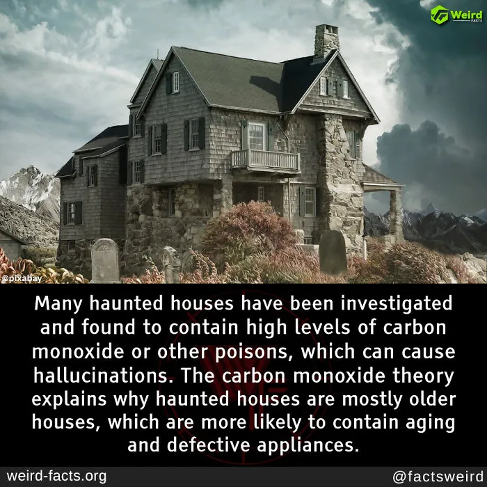 50 “Weird Facts” That You Might Not Have Known Before Today (New Pics)