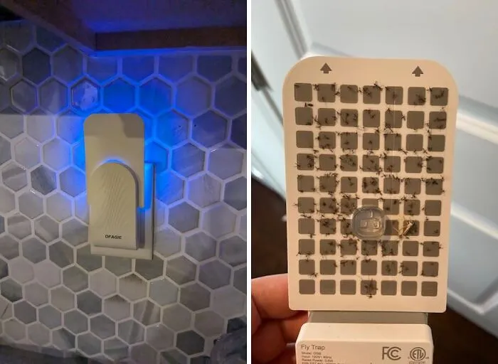 No More Buzzing Around Your Head: <a Style="Display:inline;" Href="Https://Www.amazon.com/Dfagie-Indoor-Device-Flying-Mosquito/Dp/B0cy2wtbbj?pd_rd_w=ail77&content-ID=amzn1.sym.7379aab7-0dd8-4729-B0b5-2074f1cb413d&pf_rd_p=7379aab7-0dd8-4729-B0b5-2074f1cb413d&pf_rd_r=n4wcb6rzs03am9m66tbk&pd_rd_wg=zqwjl&pd_rd_r=0da1b626-2353-4bfd-94d6-D4b1a1683a01&pd_rd_i=b0cy2wtbbj&th=1&linkcode=ll1&tag=bprooster-20&linkid=e57f6f1978ff58a411e3ef5b220ba780&language=en_us&ref_=as_li_ss_tl" Target="_blank"><span Style="Font: Inherit; Color: #d74b1f;"> Fly Trap Indoor</Span> Lures And Traps Flying Pests