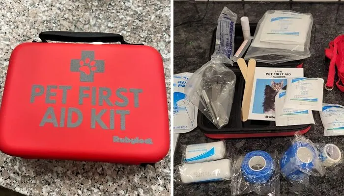 This <a Style="Display:inline;" Href="Https://Www.amazon.com/Dog-First-Aid-Kit-Cat-Pet-Emergency/Dp/B0b1w5r11y?ie=utf8&th=1&linkcode=ll1&tag=bpbutterfly-20&linkid=ef1c26cef5d6b8197ac44f81a7d866b4&language=en_us&ref_=as_li_ss_tl" Target="_blank"><span Style="Font: Inherit; Color: #d74b1f;"> Dog First Aid Kit</Span> Is The Paw-Fect Way To Keep Your Furry Friend Safe And Sound On Any Adventure