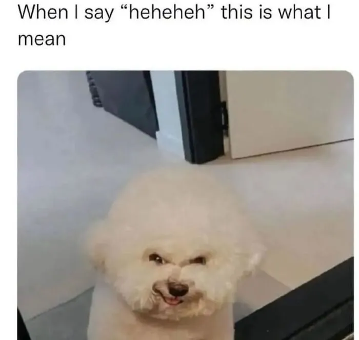 35 Random Memes To Take You Away From Reality For 2 Seconds