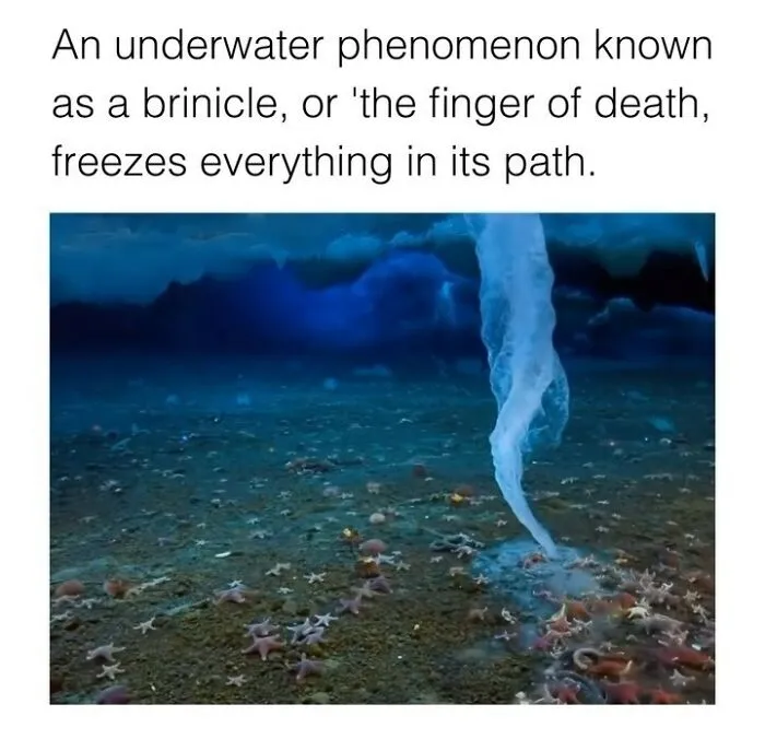 "How Things Work": 50 Facts And Curiosities More People Should Know About