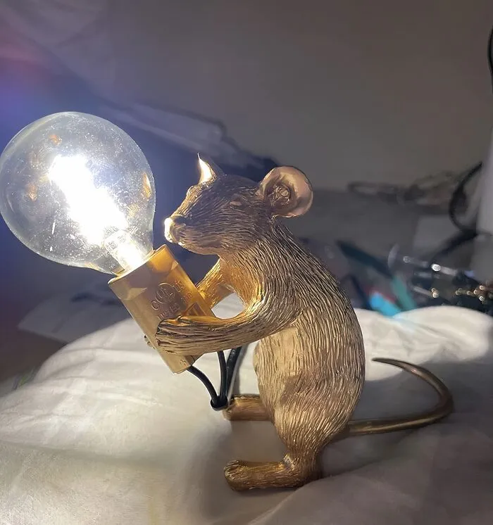 This <a Style="Display:inline;" Href="Https://Www.amazon.com/Clfine-Creative-Bedside-Decoration-Standing/Dp/B07rgy8yq8?crid=39ce500pkhmnp&dib=eyj2ijoimsj9.skfmg4sog_myg4kwyib_nvbibq7wuoovvxhmjtegqizxnec5bgbwe2hwpfuizd1wkomiqzcjqbabibljgjukdaayu179gw3zh_n8kfdc8ko5h5ig5_v-Pjfzvoi8ouinqhacoyndy9jerrmbdbyzomjkox7z2uthp1wmqplwdm23_buv5fqjnpxcafip36-Erseugb2i86hrl52s0azq3-Rka0aqkrj46ljj4-Ct2ad0dnic66aglyzk4sy439ibgntxqjeuhya5s9jio6nvcishuhs2hdny8ywkx_m_vpq.fnjnwzhbkrralvyag6wm17k2xuo3qkm5hw1dhjx2dx0&dib_tag=se&keywords=weird%2blamp&qid=1720766721&sprefix=weird%2blamp%2caps%2c221&sr=8-44&th=1&linkcode=ll1&tag=bppeacock-20&linkid=fa50120bc644763edc6b2afde75633f2&language=en_us&ref_=as_li_ss_tl" Target="_blank"><span Style="Font: Inherit; Color: #d74b1f;"> Modern Resin Mouse Lamp</Span> Isn't Just A Lamp, It's A Conversation Starter (And A Total Heart-Stealer)