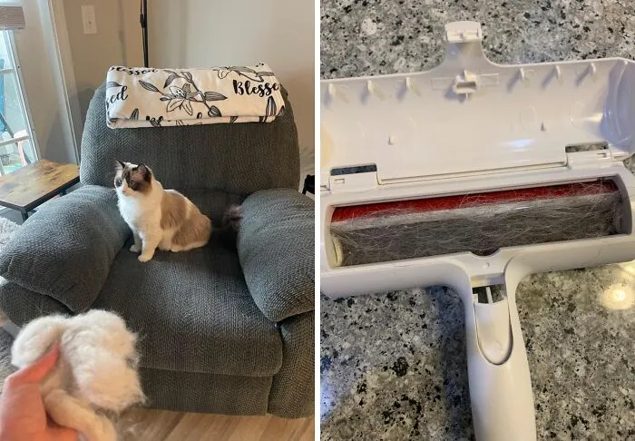 Your Furry Friend Might Be Shedding Like Crazy, But This <a Style="Display:inline;" Href=" Https://Www.amazon.com/Dp/B00bagtnaq?ascsubtag=7674268%2c6%2c43%2cd%2c0%2c0%2c0%2c900%3a2%3b974%3a1%3b1125%3a2%3b1338%3a1%2c46426655%2c0%2c0%2c0&th=1&linkcode=ll1&tag=bpzebra-20&linkid=0fdbace53025bc1fdfb758c386776b1c&language=en_us&ref_=as_li_ss_tl " Target="_blank"><span Style="Font: Inherit; Color: #d74b1f;"> Reusable Lint Roller</Span> Will Keep Your Clothes And Furniture Looking Impeccable