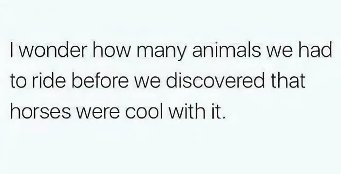 50 Funny Memes For Those Who Could Really Use Some Mind-Numbing Humor Today