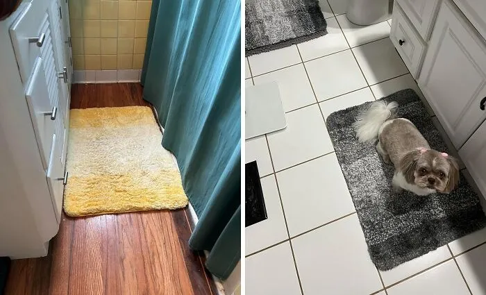 This <a Style="Display:inline;" Href=" Https://Www.amazon.com/Olanly-Bathroom-Absorbent-Microfiber-Non-Slip/Dp/B0cbp8cl71?pd_rd_w=wlnz5&content-ID=amzn1.sym.7379aab7-0dd8-4729-B0b5-2074f1cb413d&pf_rd_p=7379aab7-0dd8-4729-B0b5-2074f1cb413d&pf_rd_r=937fejn50190t91ex89x&pd_rd_wg=qzabc&pd_rd_r=05c09c1b-2679-40e4-B992-17cd733d51f9&pd_rd_i=b0cbp8cl71&th=1&linkcode=ll1&tag=bpzebra-20&linkid=a649897cda8f5aaba1e91ef2ee1e72f9&language=en_us&ref_=as_li_ss_tl " Target="_blank"><span Style="Font: Inherit; Color: #d74b1f;"> Microfiber Bath Rug</Span> Is The Fluffy Cloud Your Bathroom Floor Has Been Dreaming Of