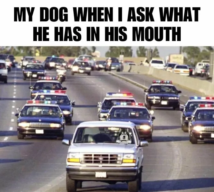 50 Funny Memes For Those Who Could Really Use Some Mind-Numbing Humor Today
