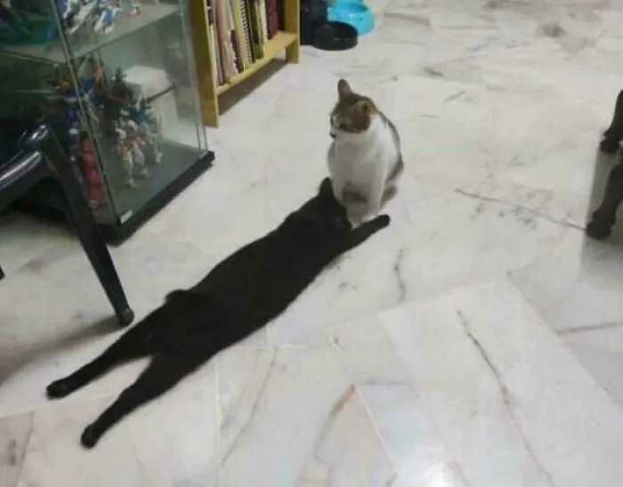 Theres Something Wrong In Her Shadow