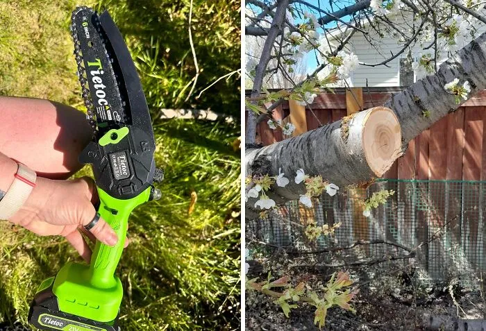  This <a Style="Display:inline;" Href="Https://Www.amazon.com/Mini-Chainsaw-Rechargeable-Oiler-System-Chainsaws/Dp/B0c1z9v6n1?ie=utf8&th=1&linkcode=ll1&tag=bpoctopus-20&linkid=98661de27aaabd2b1f06fde567f2eacf&language=en_us&ref_=as_li_ss_tl" Target="_blank"><span Style="Font: Inherit; Color: #d74b1f;"> Mini Chainsaw</Span> Is The Pocket-Sized Powerhouse That Will Make You A Lumberjack Legend (In Your Own Backyard)