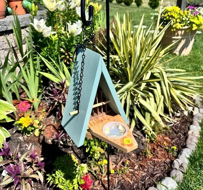 Your Garden Will Be Aflutter With Activity Thanks To This Inviting <a Style="Display:inline;" Href="Https://Www.amazon.com/Wildlife-World-Ltd-Butterfly-Biome/Dp/B075kg5swg?crid=3gpkiiuca5iiy&dib=eyj2ijoimsj9.mtohuy3x9y1m88nx73eybkruk11rh2ioh601dvazyor94_d4borunioa0t9xgf1tfjm98ygfe3uhaxxijlbfmh58lzjkocrnefgz-Vpjllxy7zcwesouzbxtwe0t5tcncy2obw_pznnaubfq4enzmg2lxah7kso3__vmhthnlro3cdgcqlps_b7i9yi7w0dy-_65rusv3qdgqlmpns2abupujot4z4biqbriysbigwdg5ktymam3-Lnhazkhaqbt9ms59i7frb710k8hgckiqsnjepzr1dgakkutmahsba8.moyqehsjemjw9xye3fnvumn4xermyzg2ltrt1c-Veto&dib_tag=se&keywords=garden&qid=1721135771&sprefix=garden%2caps%2c196&sr=8-7&linkcode=ll1&tag=bpowl-20&linkid=0105fe8f4ddfa4147e1a61b94b7cdf9f&language=en_us&ref_=as_li_ss_tl" Target="_blank"><span Style="Font: Inherit; Color: #d74b1f;"> Butterfly House And Feeder</Span> – A Haven For Butterflies Seeking Rest And Nourishment