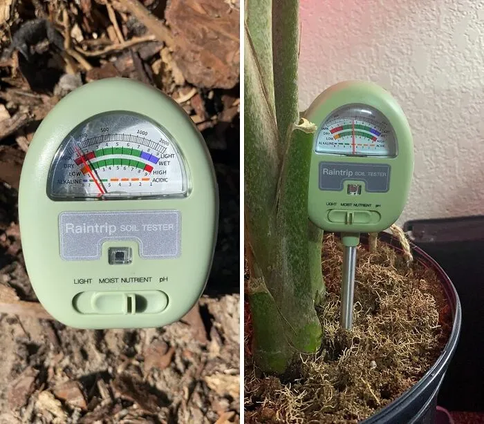 Whether You're A Seasoned Gardener Or A Plant Newbie, This <a Style="Display:inline;" Href="Https://Www.amazon.com/Moisture-Nutrients-Outdoor-Battery-Required/Dp/B0bjcly3yl?crid=3gpkiiuca5iiy&dib=eyj2ijoimsj9.mtohuy3x9y1m88nx73eybkruk11rh2ioh601dvazyor94_d4borunioa0t9xgf1tfjm98ygfe3uhaxxijlbfmh58lzjkocrnefgz-Vpjllxy7zcwesouzbxtwe0t5tcncy2obw_pznnaubfq4enzmg2lxah7kso3__vmhthnlro3cdgcqlps_b7i9yi7w0dy-_65rusv3qdgqlmpns2abupujot4z4biqbriysbigwdg5ktymam3-Lnhazkhaqbt9ms59i7frb710k8hgckiqsnjepzr1dgakkutmahsba8.moyqehsjemjw9xye3fnvumn4xermyzg2ltrt1c-Veto&dib_tag=se&keywords=garden&qid=1721135771&sprefix=garden%2caps%2c196&sr=8-16&linkcode=ll1&tag=bpowl-20&linkid=06a0271e54f5d6ec0ad802bab4ff5adc&language=en_us&ref_=as_li_ss_tl" Target="_blank"><span Style="Font: Inherit; Color: #d74b1f;"> Soil Moisture Meter</Span> Is The Must-Have Tool For Keeping Your Green Babies Healthy And Happy