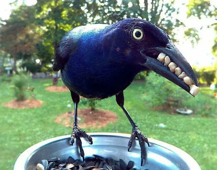 Darren Put On His Best Smile For The New Dating Profile, But The Hurt Was Still In His Eyes