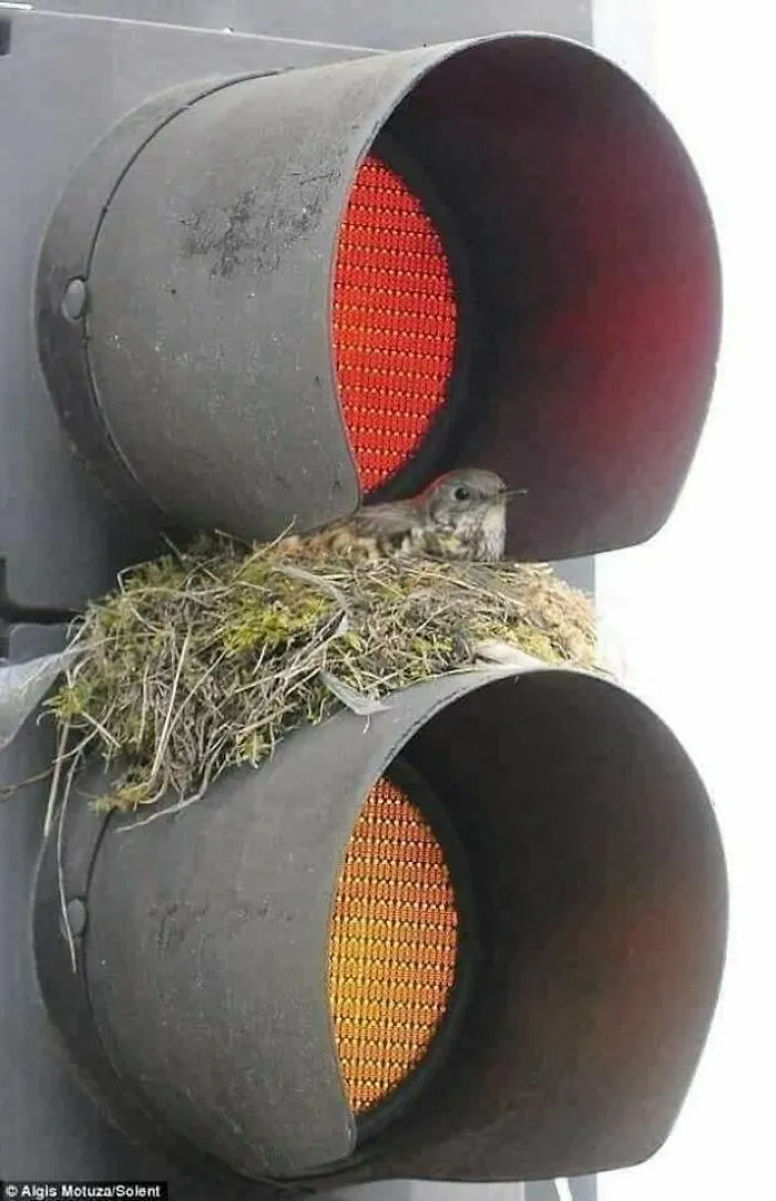 She Knew Gary Was Unreliable, But She Never Expected Him To Abandon Her Before The Baby Was Even Born. She Was A Survivor, Though, And Was Going To Be The Best Mother For Her Child, Even If All She Could Afford Was A Rundown Apartment In The Red Light District