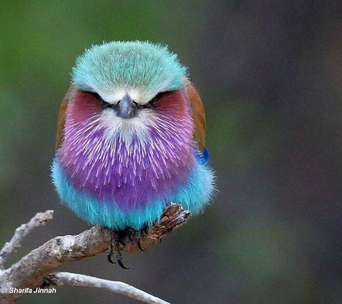 Julia Glared Into The Mirror. Years Of Carl Telling Her Not To Spend Money On Makeup Drove Her To Spend All Of Her First Alimony Check At Sephora. “It’s Over, And I Can Be As Fabulous As I Want Now, Carl! I’m Putting Myself First, And I Am Beautiful!”