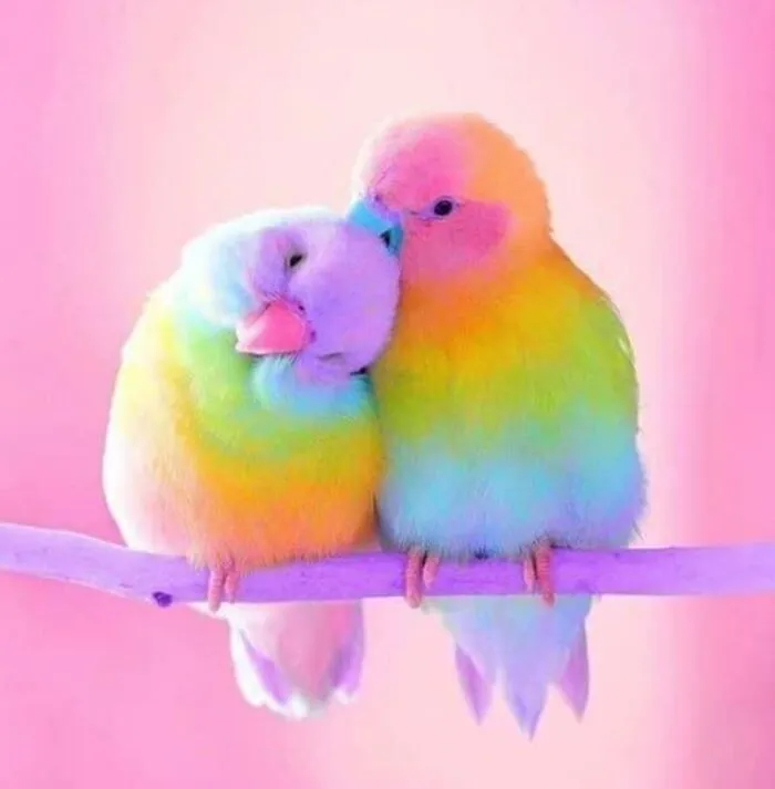 Gary Had Spent Too Many Years Denying Who He Really Was, Suppressing His True Desires To "Fit In". Once He Opened Up To His Truth, His World Came Into Focus. He May Have Lost His Wife Shelia, But He Found His Steve. This Year Marks Their 20th Anniversary. There Is Life After A Divorce Chickadees
