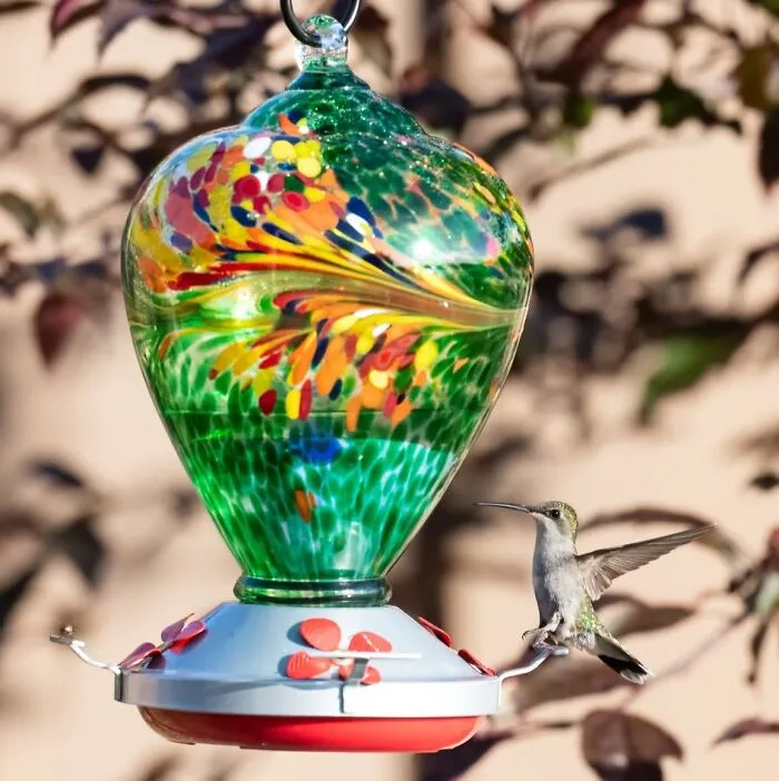 These <a Style="Display:inline;" Href="Https://Www.amazon.com/Muse-Garden-Hummingbird-Outdoors-Containing/Dp/B085cl92kp?crid=232eeqm907omi&dib=eyj2ijoimsj9.l4k2esjm9xck_lc513qsk89qscqsvzjty22qmqu8fvdj79w7rzufgzlri23wtutvn8zm-Cbbqz7u29lxwa7lvol_8fiz8w7g52dnvhst1gw.9kzucv0pnht4scoedlogbd50j7d1zmdo1wsxn2nypke&dib_tag=se&keywords=garden%2bessentials&qid=1721199714&sprefix=garden%2bess%2caps%2c504&sr=8-97-Spons&sp_csd=d2lkz2v0tmftzt1zcf9hdgzfbmv4da&th=1&linkcode=ll1&tag=bpowl-20&linkid=9cebdd66a5235f760803728568512891&language=en_us&ref_=as_li_ss_tl" Target="_blank"><span Style="Font: Inherit; Color: #d74b1f;"> Blown Glass Hummingbird Feeders</Span> Are Not Only A Functional Way To Attract These Tiny Fliers To Your Garden, But They're Also Exquisite Pieces Of Art
