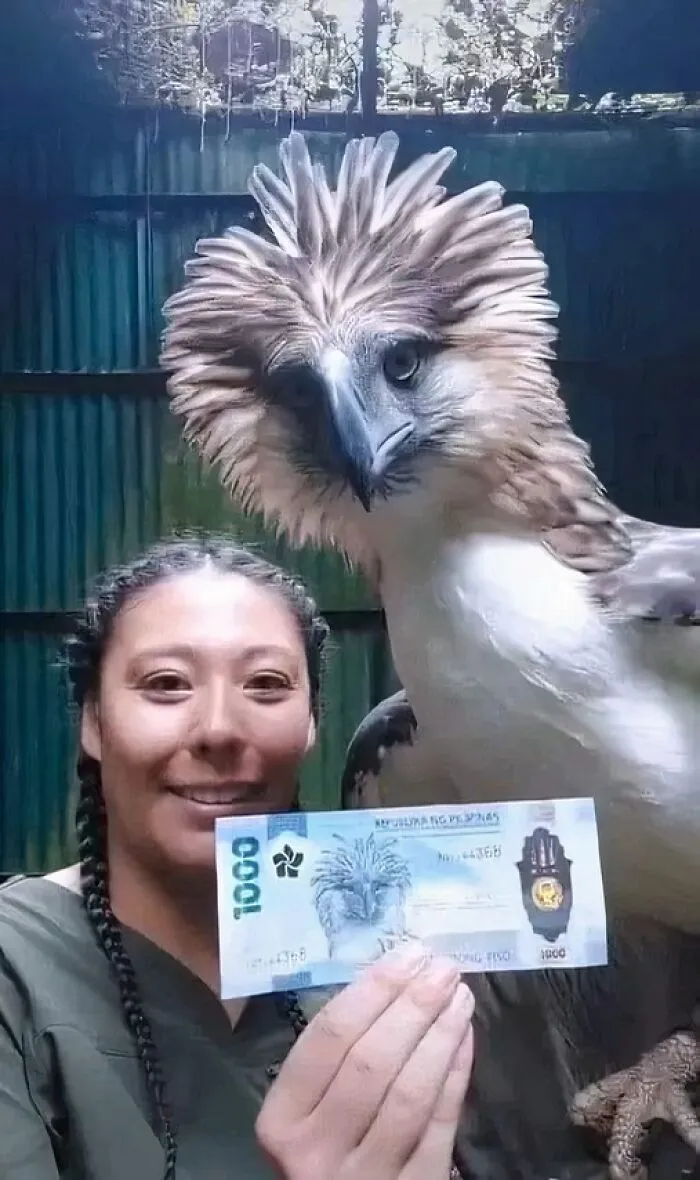 40 Slightly Unhinged Birds That Ended Up On The “Birds With Threatening Auras” Online Page (New Pics)