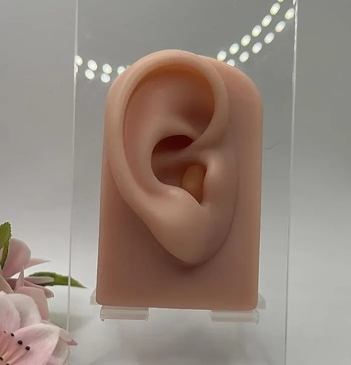 What Used To Be A Simple <a Style="Display:inline;" Href="Https://Www.amazon.com/Silicone-Flexible-Piercing-Practice-Impression/Dp/B0brv14jhd?crid=2zstz7umv9sqx&dib=eyj2ijoimsj9.ozj09quntadlrutuime5px-Nz2ykuqy6cn1booyzcm6bhyfdafr3ndaqulamn8vpgahymytslhaldim_rne_42tnq_2xfwhxdrtt6qxd3fsfuizcafol6dptvfvaqkglnn1qawwfnacsahu0bkefrnmteymprajw_v7-Whlfq0sj6-Kz5t5nsnddxvl86npqveifahatxqgt9tujsy9fqphmw9wywnhslmcc1vf-T8bdibazngrjr4q5lwli3drwou-Ijkmpywdhqd6pglihllzrugvhsqr3m4msr9gwejm.kw-Sf9u1odjilad1i03znksuughzsrebve4m0ctdvdy&dib_tag=se&keywords=fake+ear&qid=1721219323&sprefix=fake+ear+%2caps%2c198&sr=8-3-Spons&sp_csd=d2lkz2v0tmftzt1zcf9hdgy&psc=1&linkcode=ll1&tag=bpkiwi-20&linkid=1a2e7f47389ed29805275e6562d03030&language=en_us&ref_=as_li_ss_tl" Target="_blank"><span Style="Font:inherit;color:#d74b1f;"> Silicone Ear Piercing Kit</Span> Is Now A July 13th Souvenir 