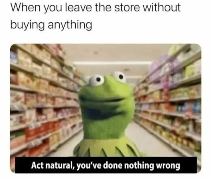 Kermit the Frog looking nervous in a grocery store aisle, captioned humor about leaving without buying anything.