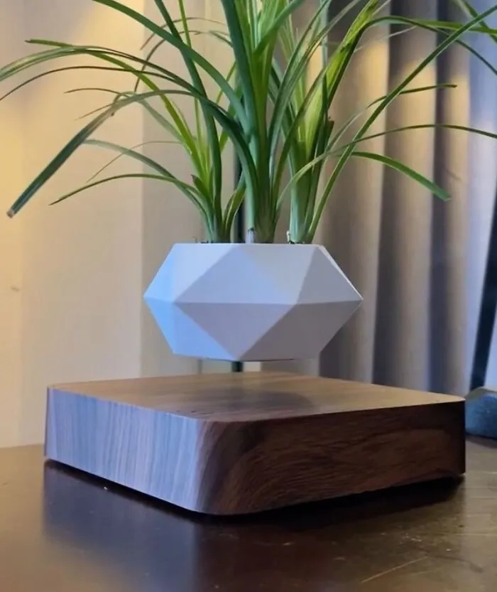 This <a Style="Display:inline;" Href="Https://Www.amazon.com/Levitating-Rotation-Planters-Levitation-Suspension/Dp/B088d2qzdb?ie=utf8&linkcode=ll1&tag=bpcrab-20&linkid=2daa76a2acc830eaa811bff3019dfaa6&language=en_us&ref_=as_li_ss_tl" Target="_blank"><span Style="Font: Inherit; Color: #d74b1f;"> Levitating Air Bonsai Pot</Span> Defies Gravity And Will Make Your Plants The Star Of Any Room