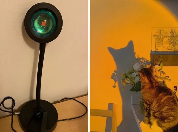 Forget About Harsh Overhead Lighting And Embrace The Soft, Warm Ambiance Of This <a Style="Display:inline;" Href="Https://Www.amazon.com/Feeermy-Projector-Atmosphere-Projection-Photography/Dp/B08zn7g929?ie=utf8&linkcode=ll1&tag=bpcrab-20&linkid=db9f189b568a1ae48e644f81cf04a67f&language=en_us&ref_=as_li_ss_tl" Target="_blank"><span Style="Font: Inherit; Color: #d74b1f;"> Sunset Lamp</Span> – It's The Perfect Way To Create A Cozy And Inviting Atmosphere