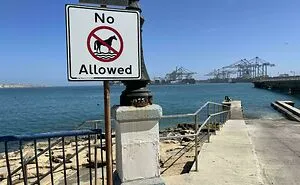 50 Clever Signs Spotted In Public That Deserved To Be Photographed (New Pics)