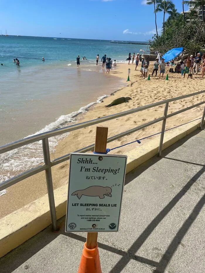 Cartel para que los turistas dejen dormir en paz a las focas