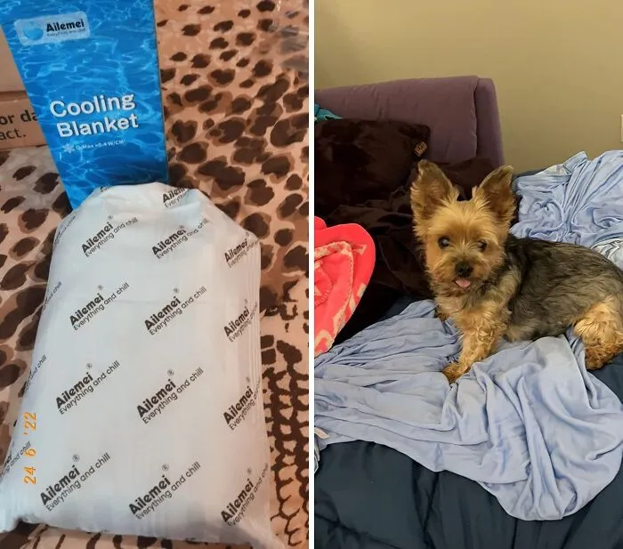 <a Style="Display:inline;" Href="Https://Www.amazon.com/Lightweight-Breathable-Blankets-Transfer-Sleepers/Dp/B09pj9vykx?dib=eyj2ijoimsj9.xeuiqzwi90j3hs6s_qwy1tdxjwblxngiky266u0szllakve7_l9ixgx1zsvi05l6rgbovnm1u34m3i6n92ku9nvvollphggnysf1-UK5jsezpg_nlrbequlhzmbg2ovxm1yy5jav3ok0thil922q5h9kcuav8qsz4u3u0vnq4r5la8o8biba7xs4gs6pjnebtxjjy7z9hzurjkqot51goeqlygn9mpl5u4y0huhfvim.elqsmtvaddkwhqj2vktooh3qpojerqqk0h8kksuc33o&dib_tag=se&qid=1720686017&sr=8-44&srs=121543467011&th=1&linkcode=ll1&tag=bpgiraffe-20&linkid=d5cfdaedf0411dd70945250907bc87e6&language=en_us&ref_=as_li_ss_tl" Target="_blank"><span Style="Font: Inherit; Color: #d74b1f;"> Ailemei Direct Cooling Throw Blanket</Span>: Stay Cool And Comfortable All Summer Long With This Double-Sided Cooling Sensation!
